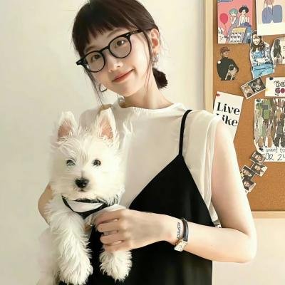 剧情提示请恋爱 封面